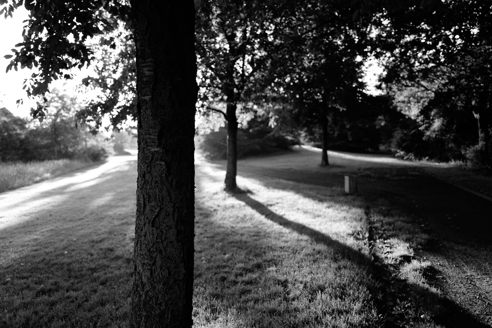 AM20200711 1235050486 1